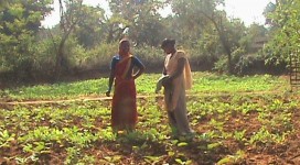 DSC00337