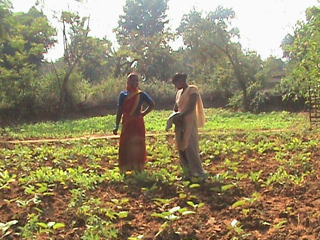 DSC00337