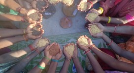 IMG-20220104-WA0008