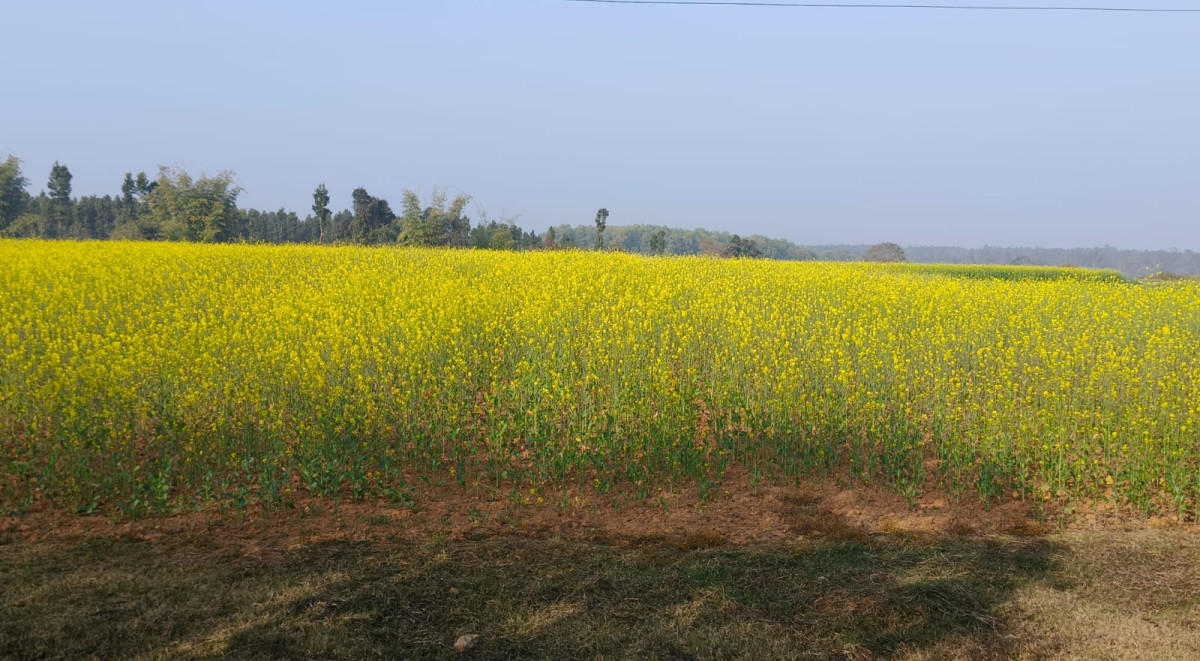 WhatsApp Image 2025-12-29 at 9.06.47 PM (2)